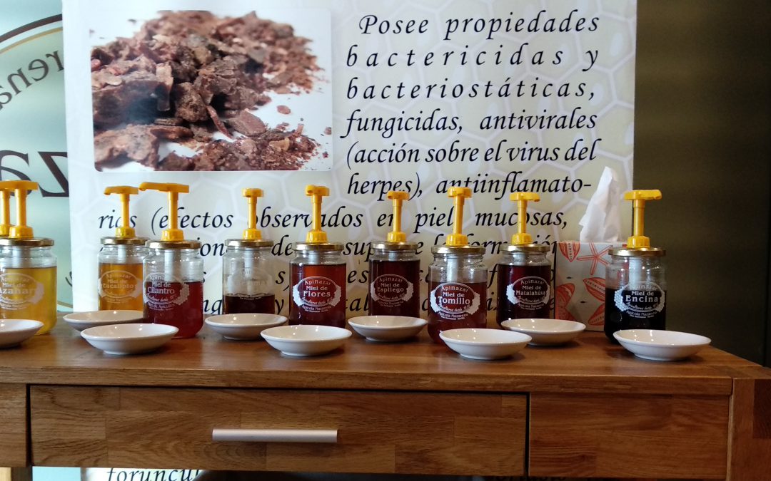 Degustación de diferentes tipos de miel - Apinazar Apícola Nazarena