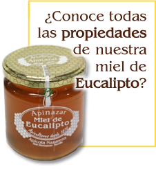 miel de eucalipto